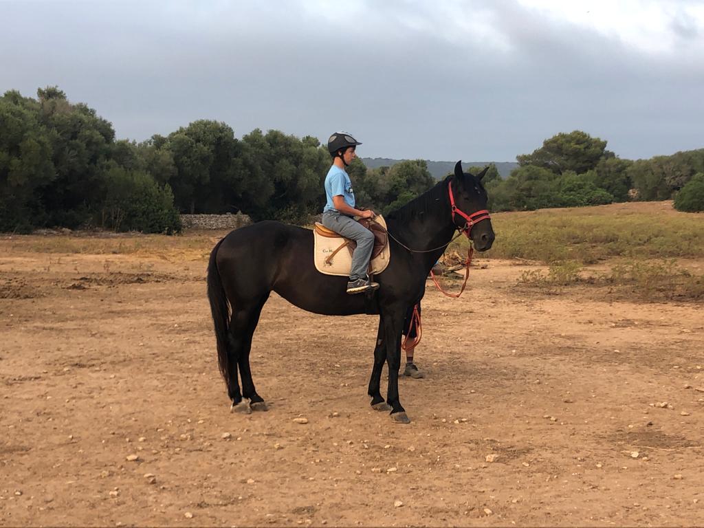 Horseback Riding Lesson